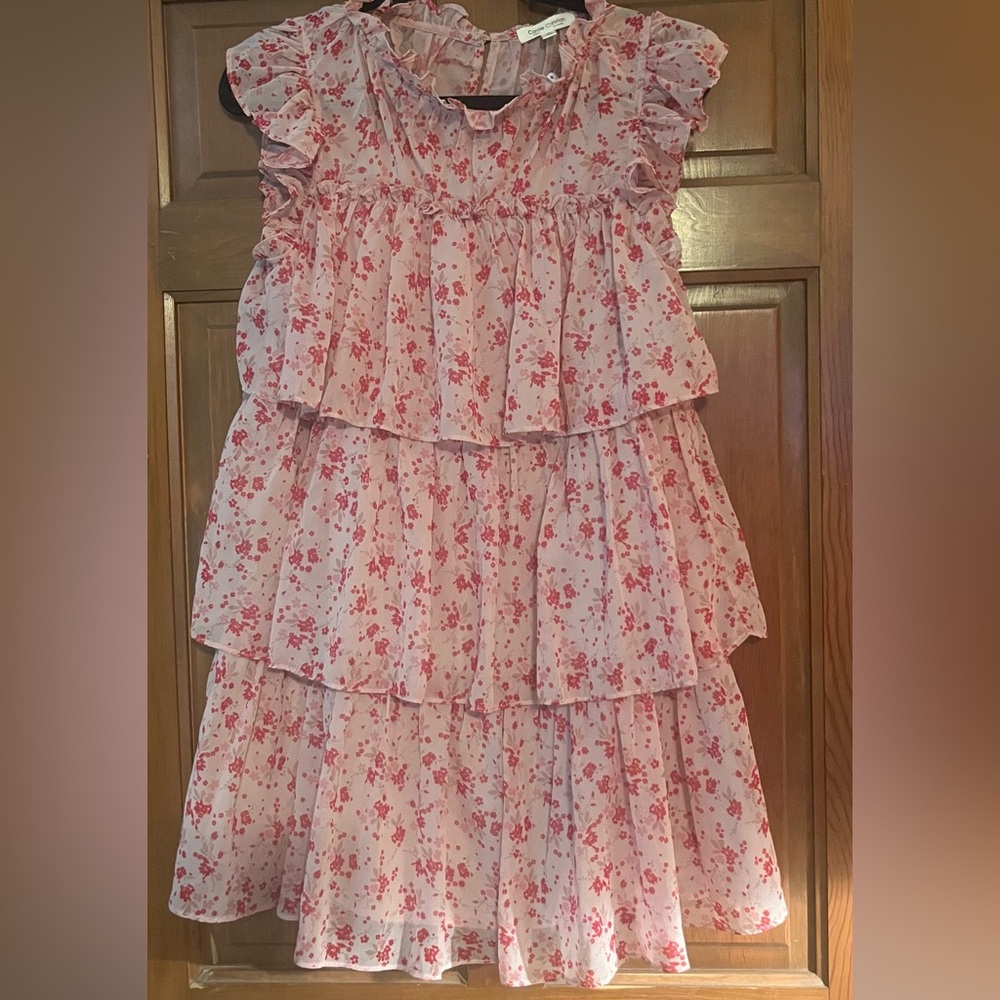 Floral Pink Ruffle Ladies Small Dress. Brand New by Carole Christian.